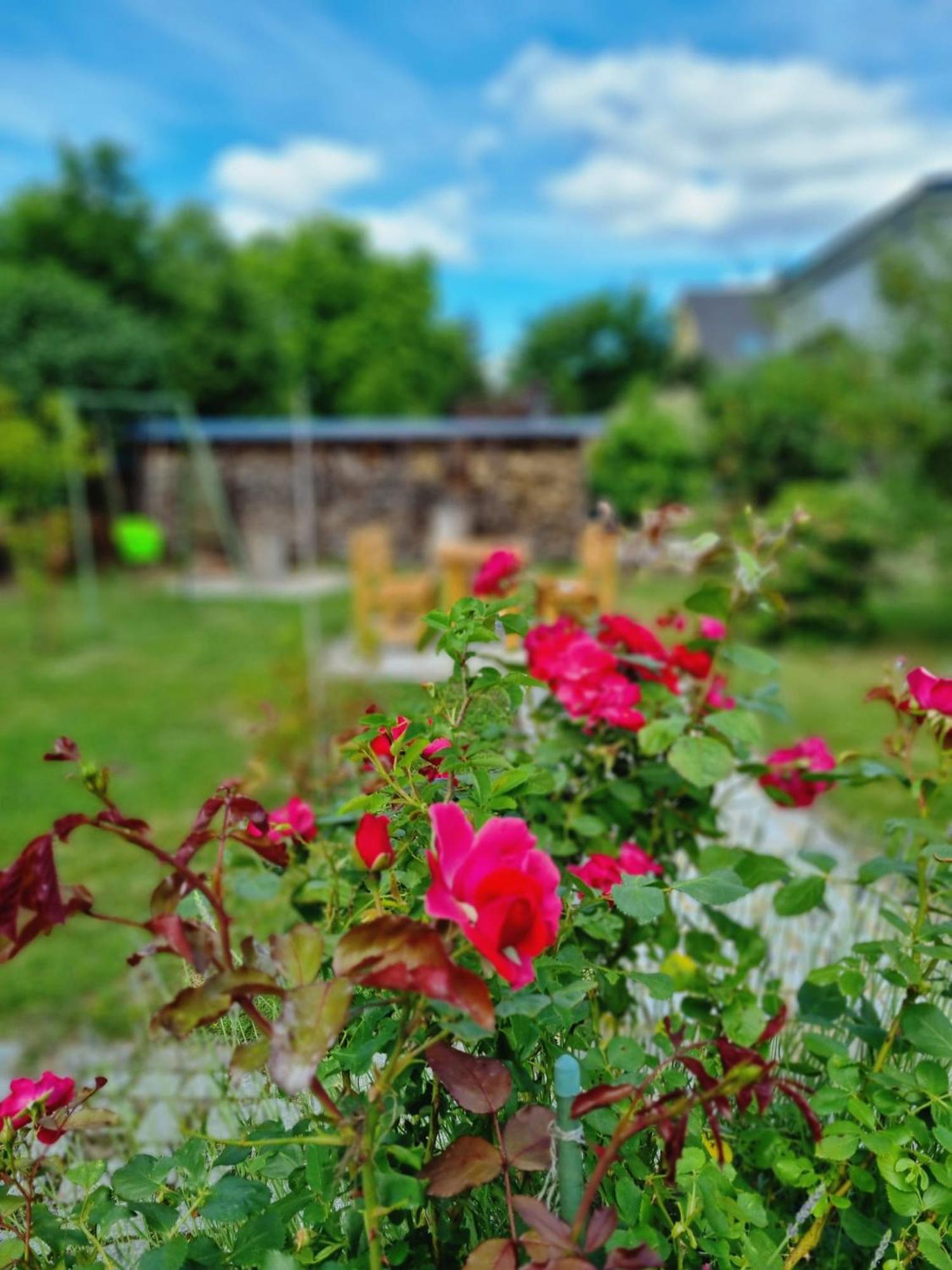 Ferien Oase Am Ber Daire Schönefeld Dış mekan fotoğraf